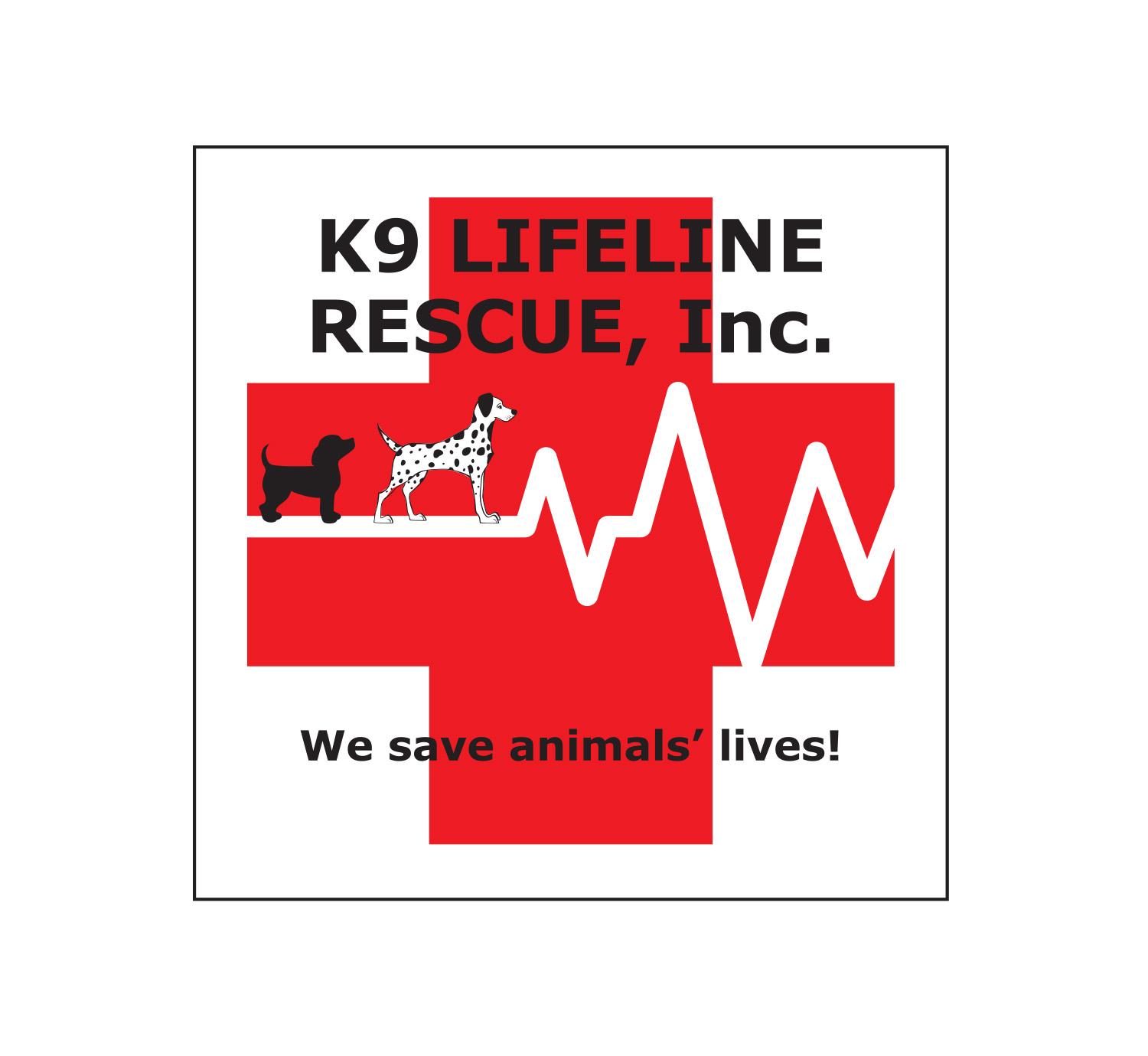 Enlarge Dobie GREAT Family Dog, a Adoptable mixed breed in Lake Geneva, WI image 4/5