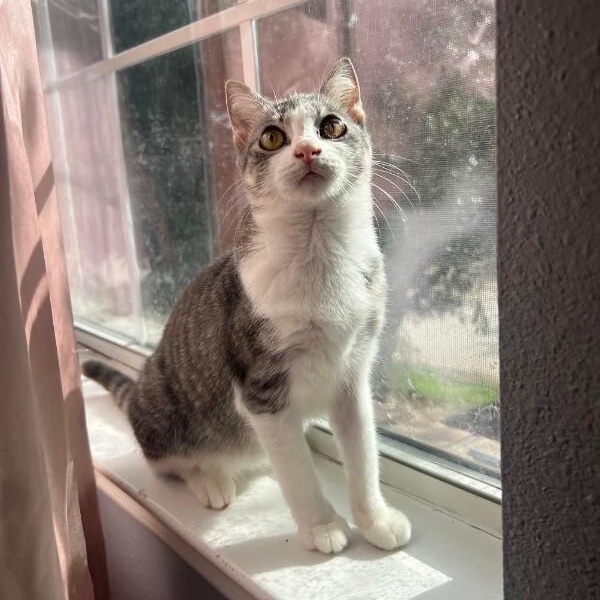 Karli Grace — thumbnail 2