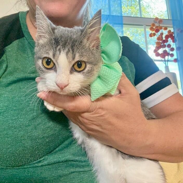 Karli Grace — thumbnail 5