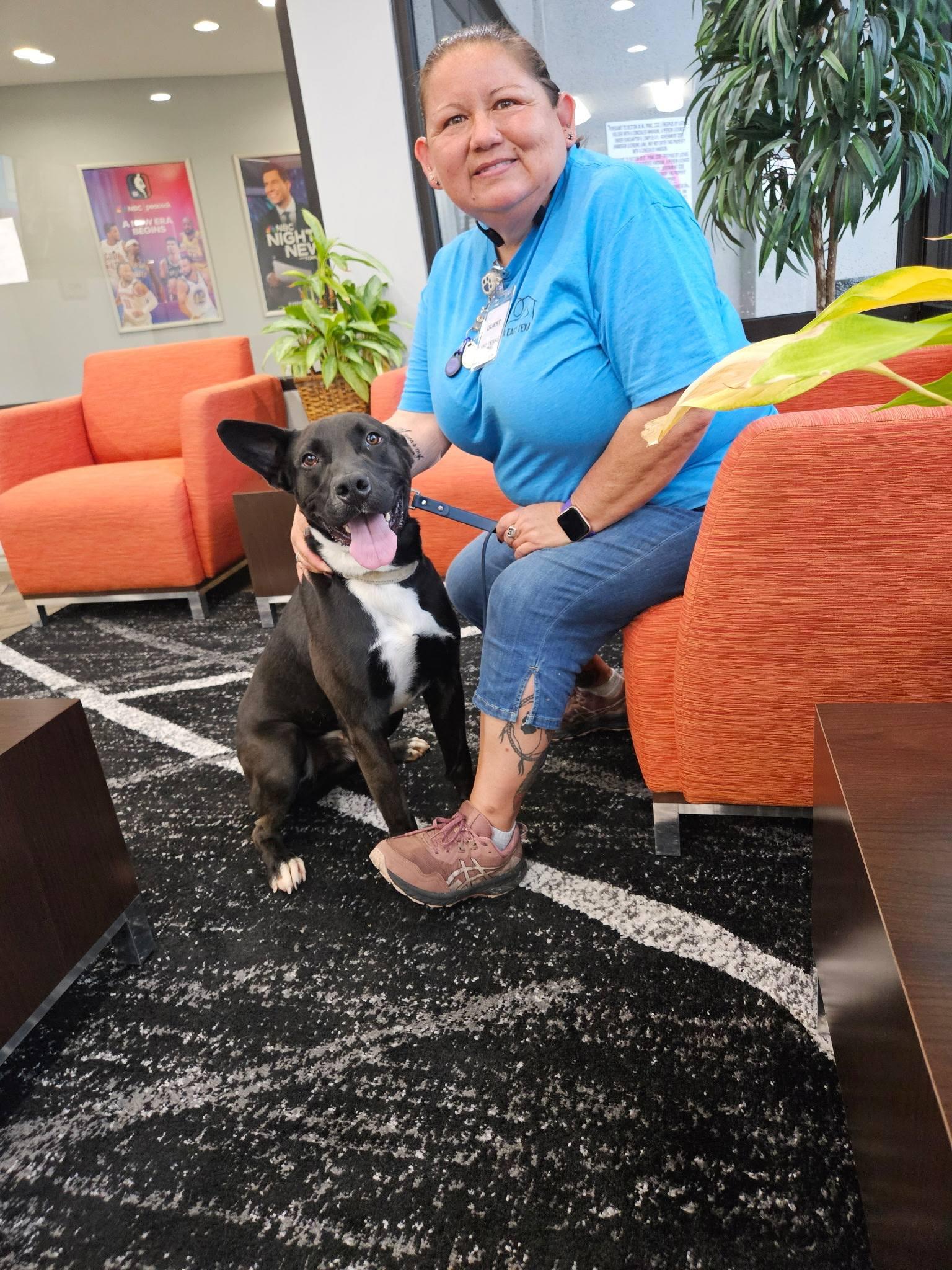 Enlarge Cliff, a Adoptable mixed breed in Tyler, TX image 6/6