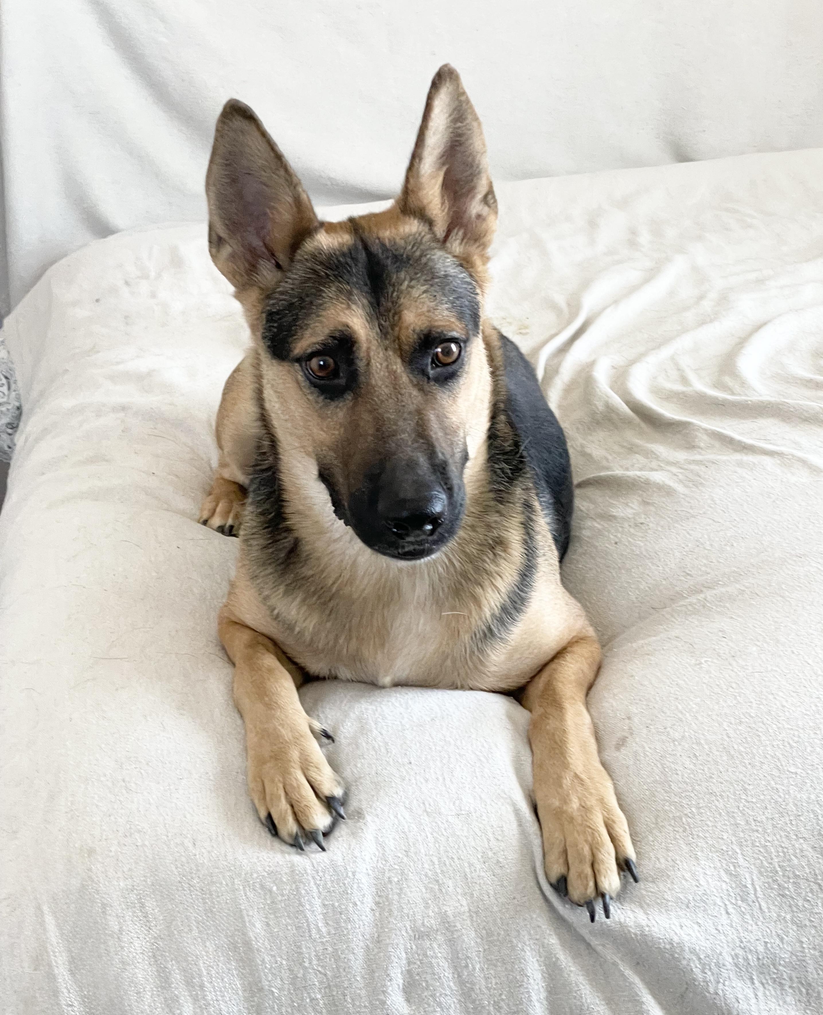 Brilliant Kairo — thumbnail 2