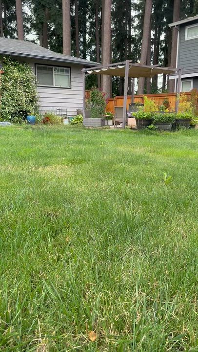 Enlarge Buddy (Chase), a Adoptable mixed breed in Saint Helens, OR video 6/6