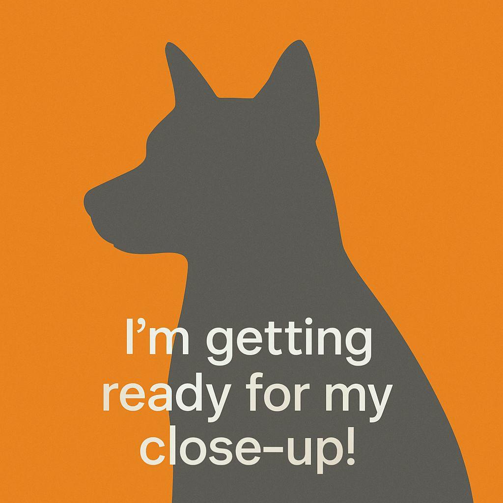 Digiornio thumbnail 2