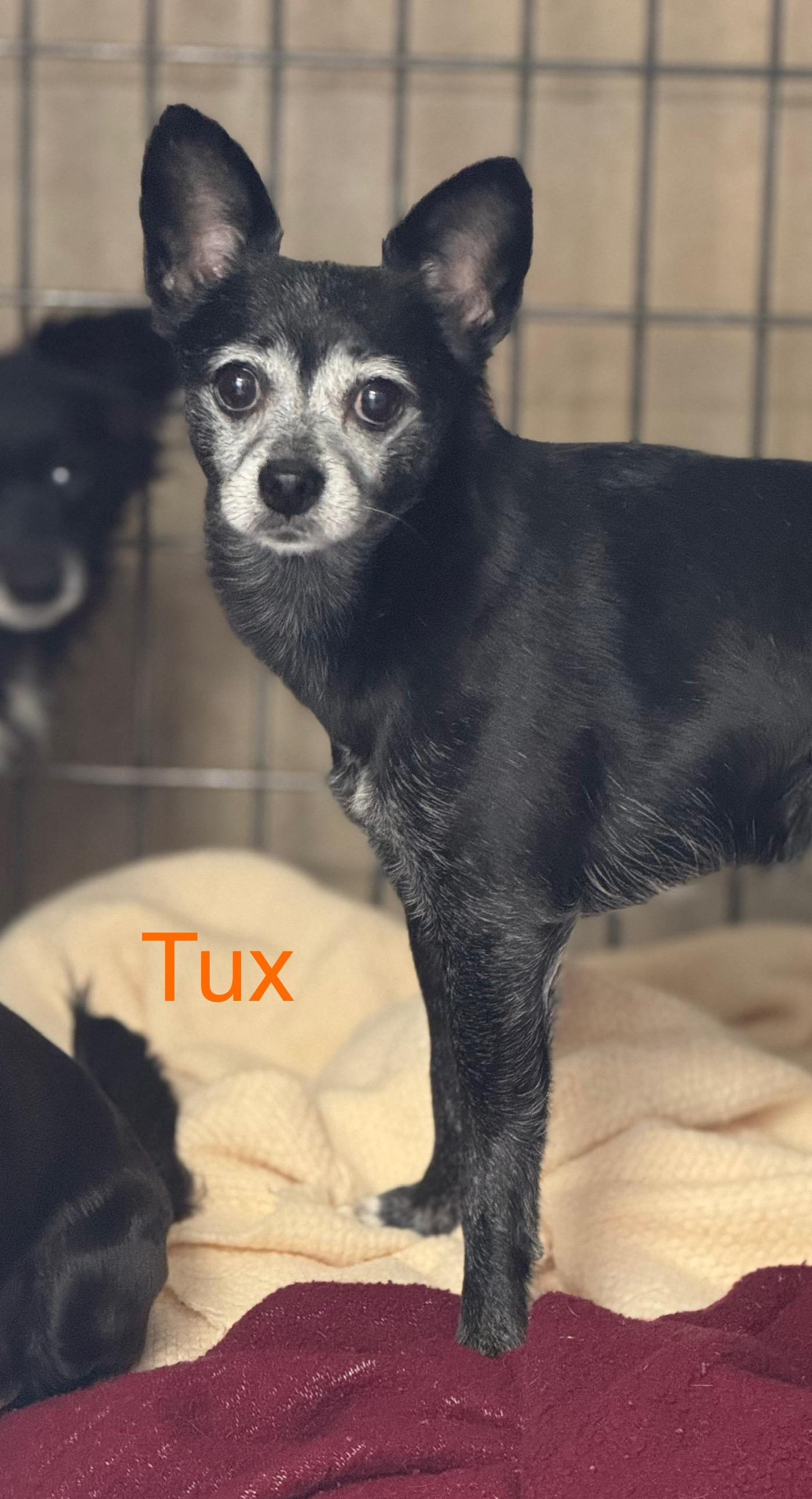 Tux