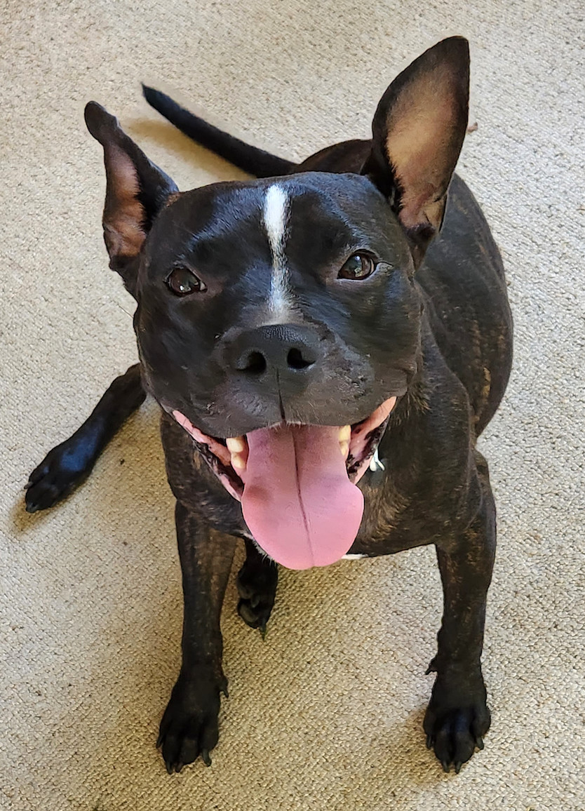 Ari aka Bavaria