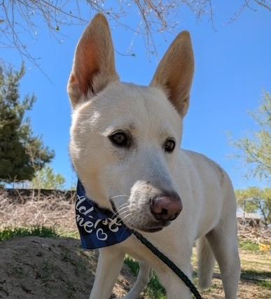 Lumi photo 1