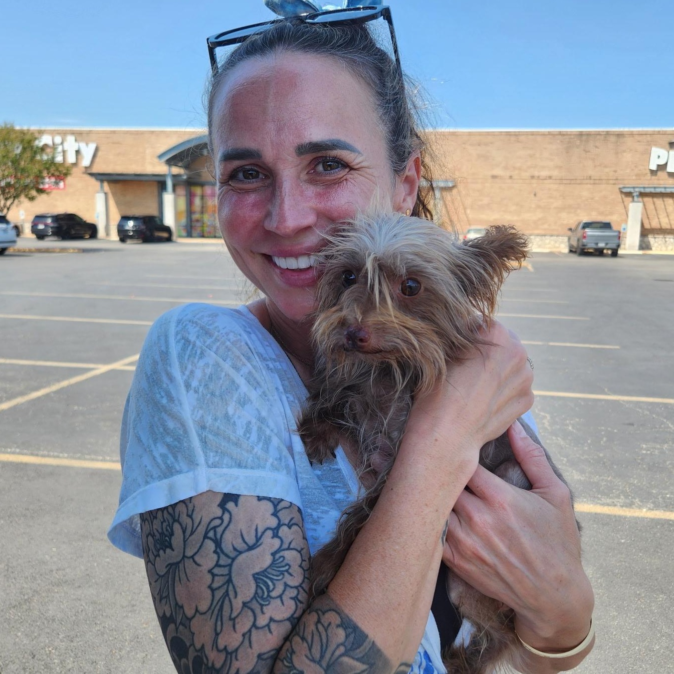 Enlarge Dolly, a Adopted Yorkshire Terrier in Austin, TX image 2/6