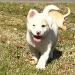 Brazos — thumbnail 2