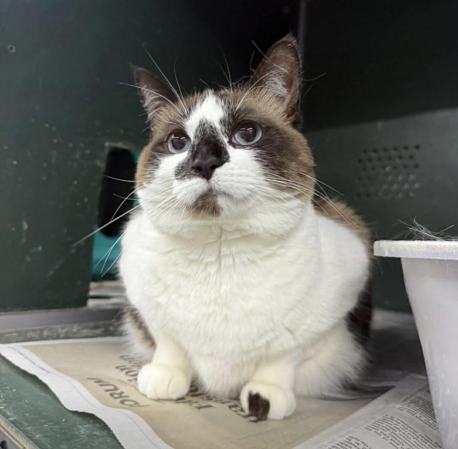 Tip Fka Phobie thumbnail 3