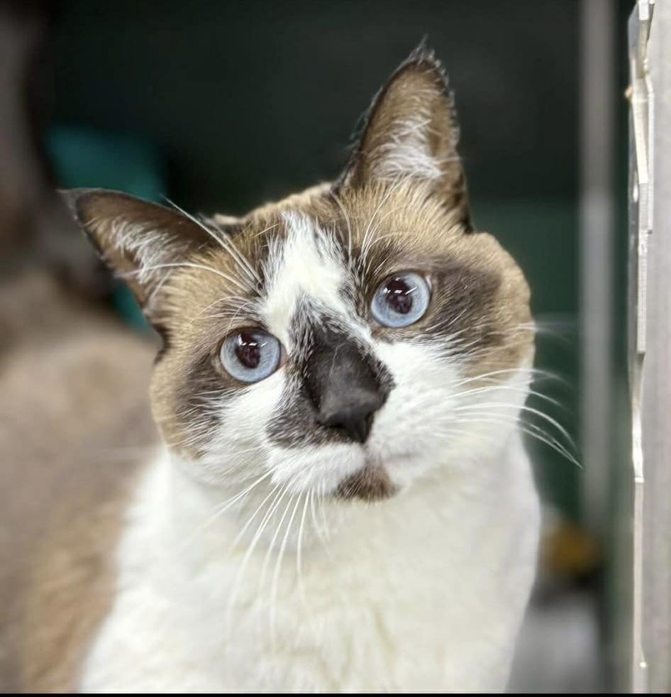 Tip Fka Phobie thumbnail 4