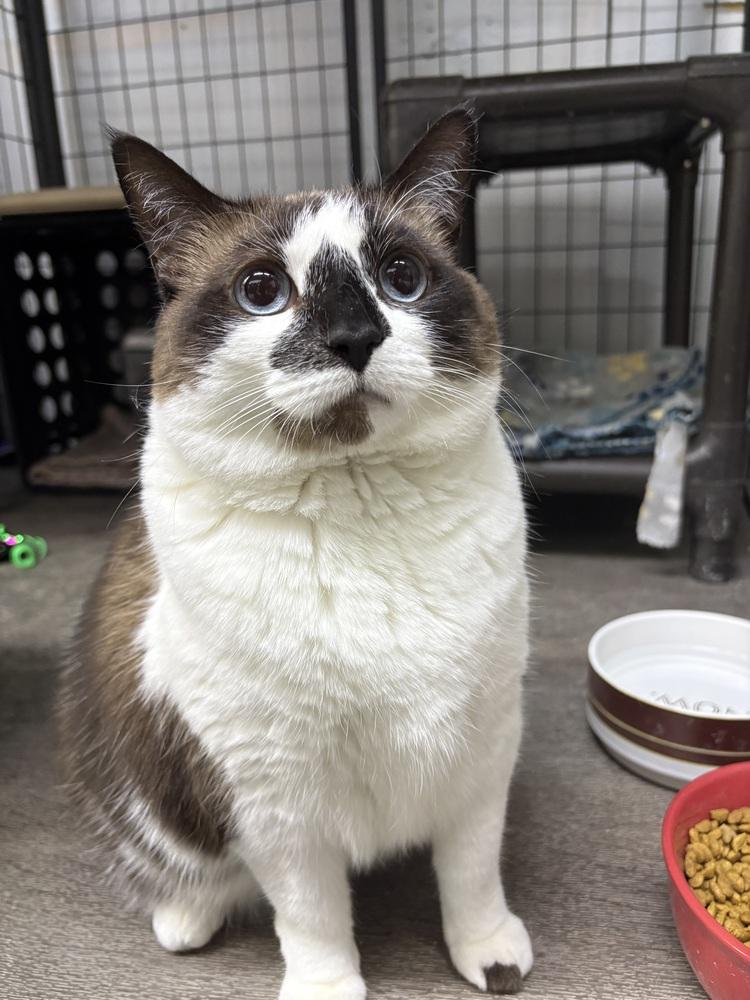 Tip Fka Phobie thumbnail 5