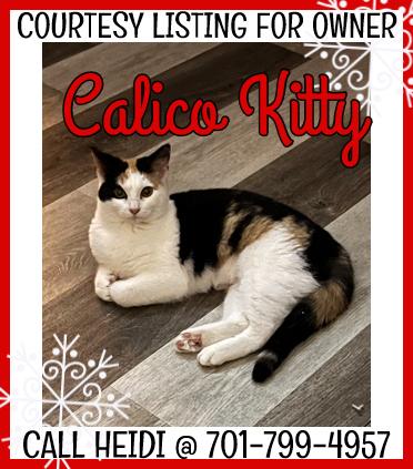Enlarge Calico Kitty - COURTESY LISTING, a ADOPTABLE Calico in Valley City, ND image 1/1
