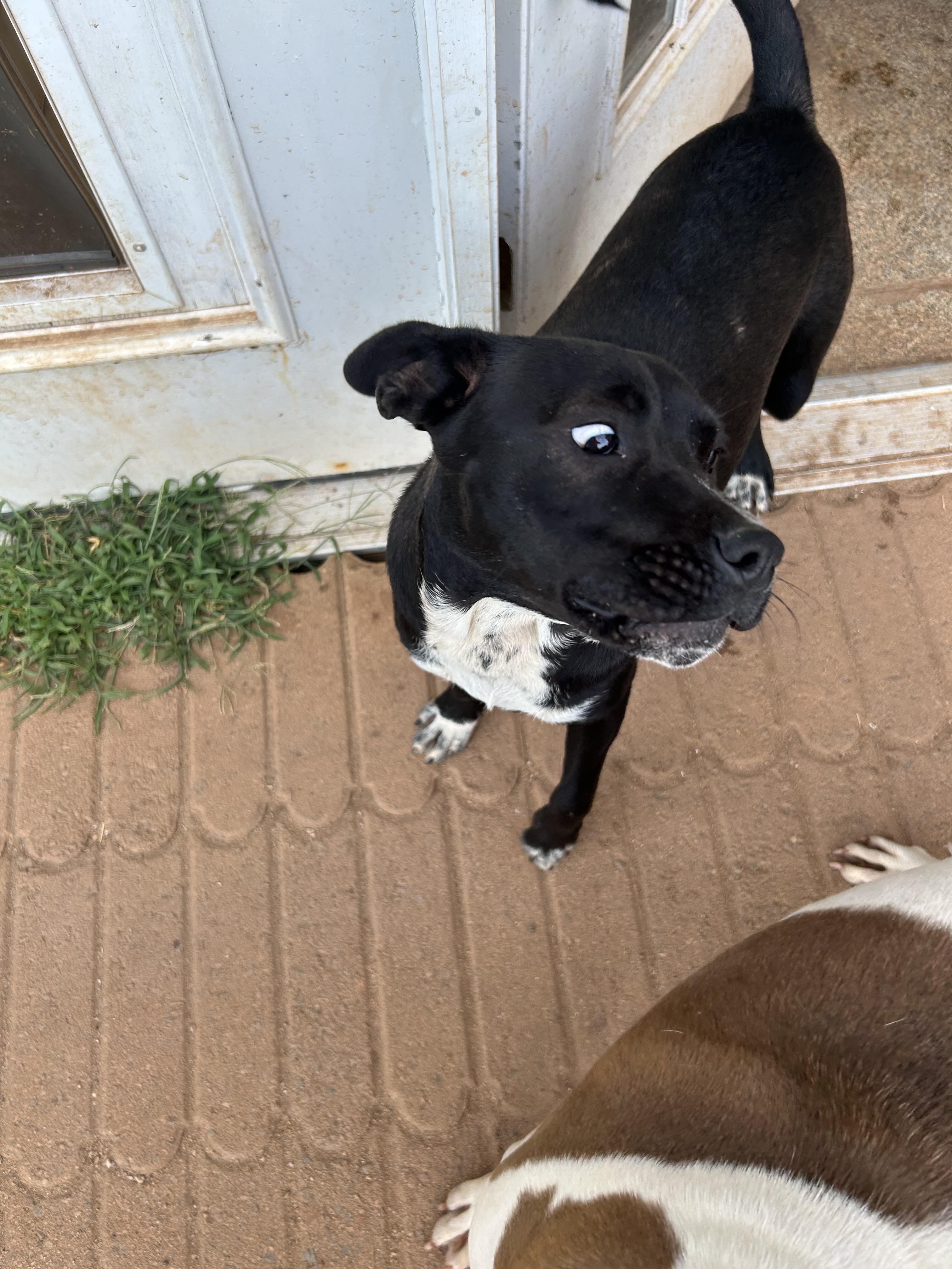 Winston photo 2