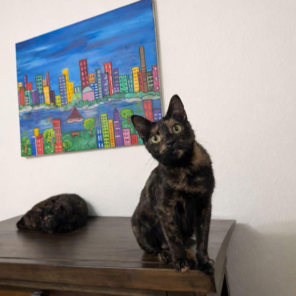 Enlarge Jasper, a ADOPTABLE Domestic Short Hair in Eugene, OR image 2/6