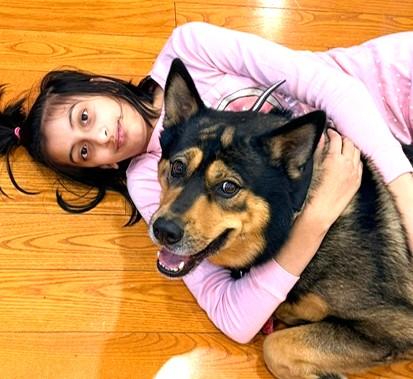 Enlarge Fendi (70 lbs), a ADOPTABLE mixed breed in Mississauga, ON image 4/6