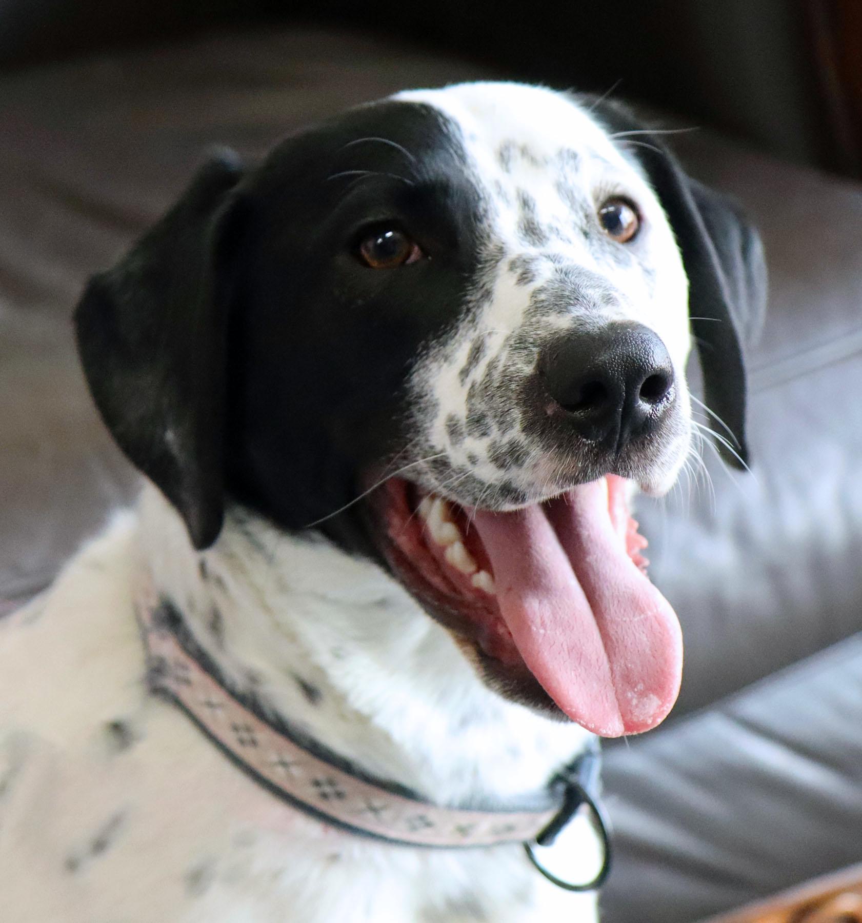 Ben