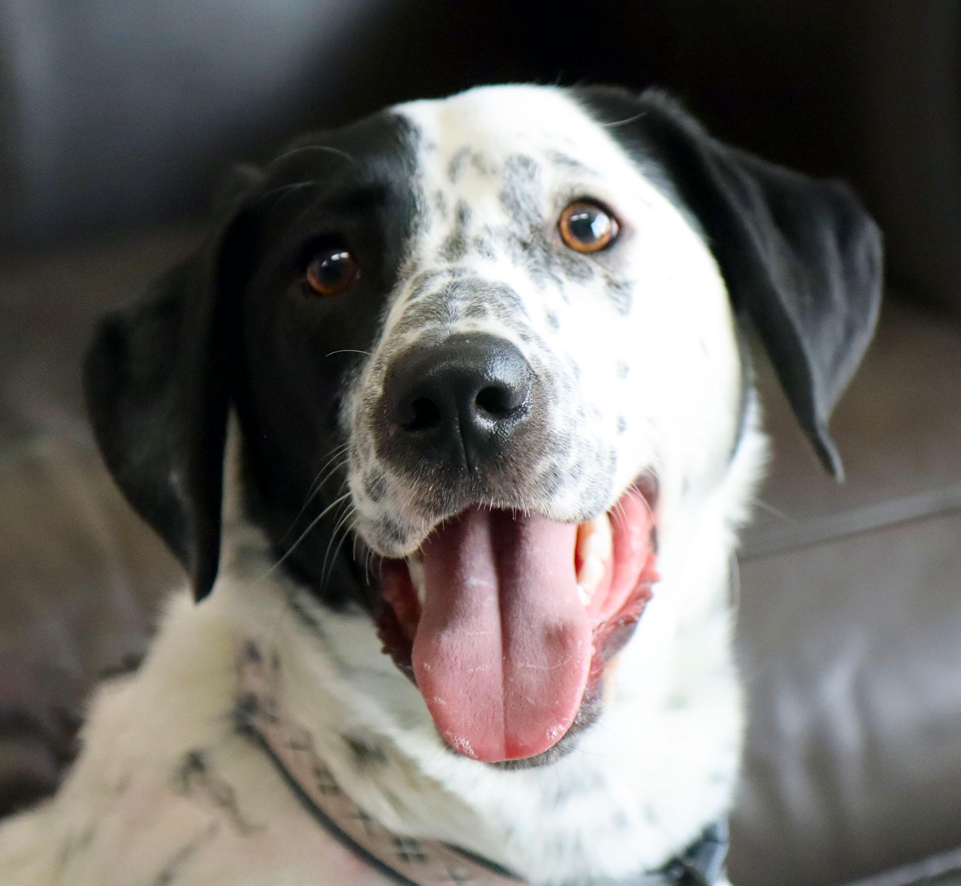 Ben