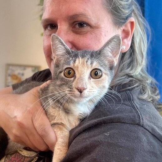 Enlarge Willow Taylor, a Adoptable mixed breed in Surrey, BC image 5/6