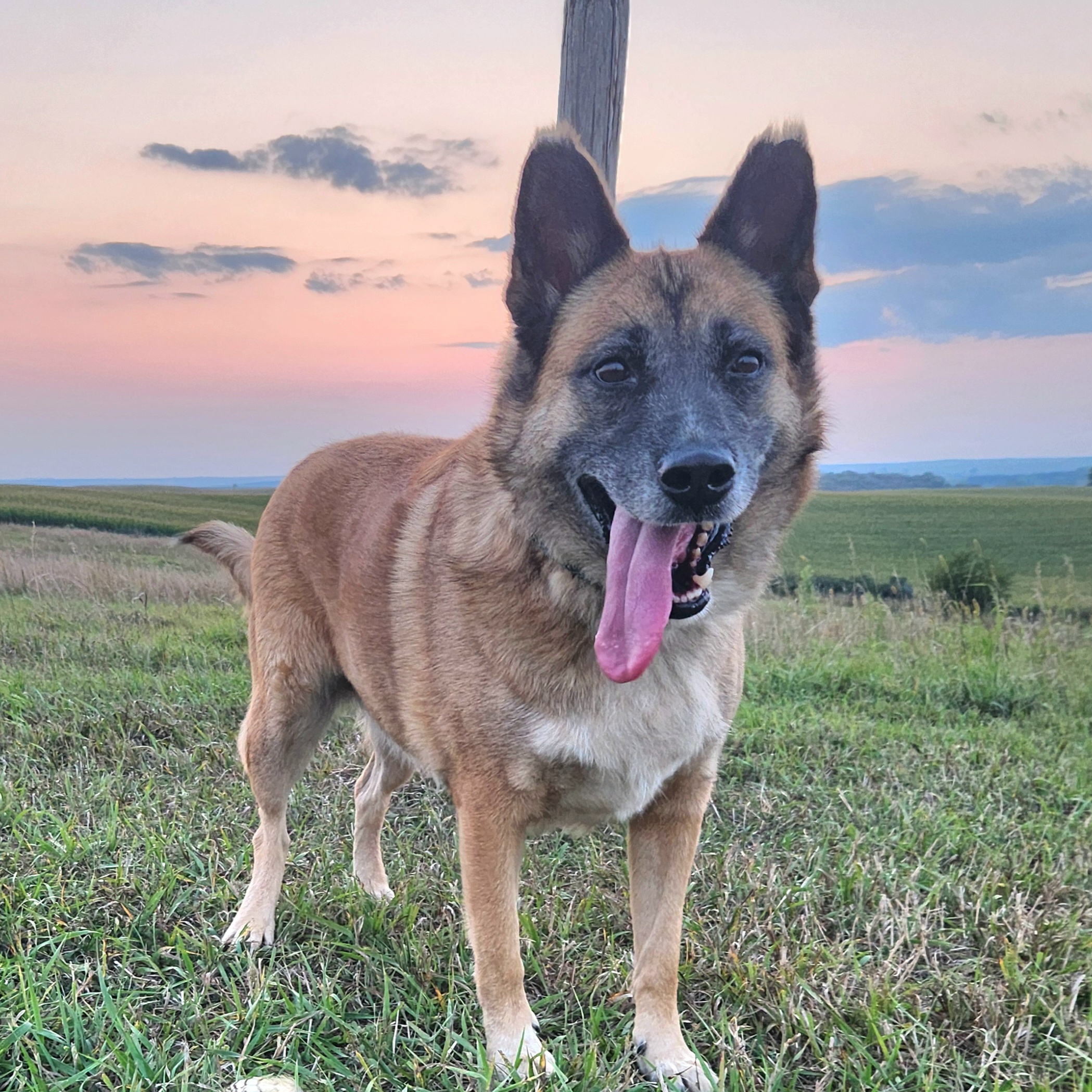 Nina