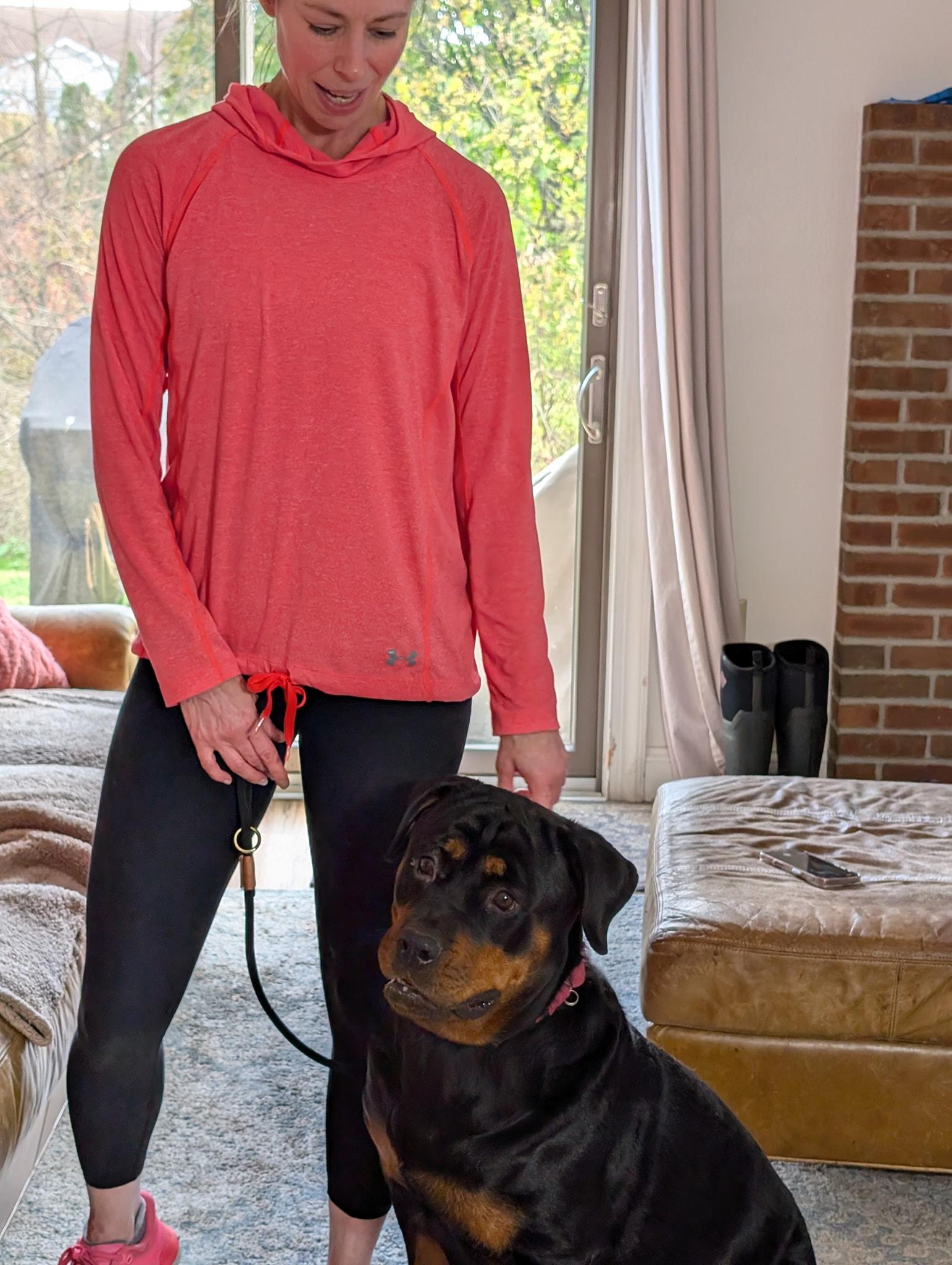 Roxie, a Adopted Rottweiler in Perkasie, PA image 4/6