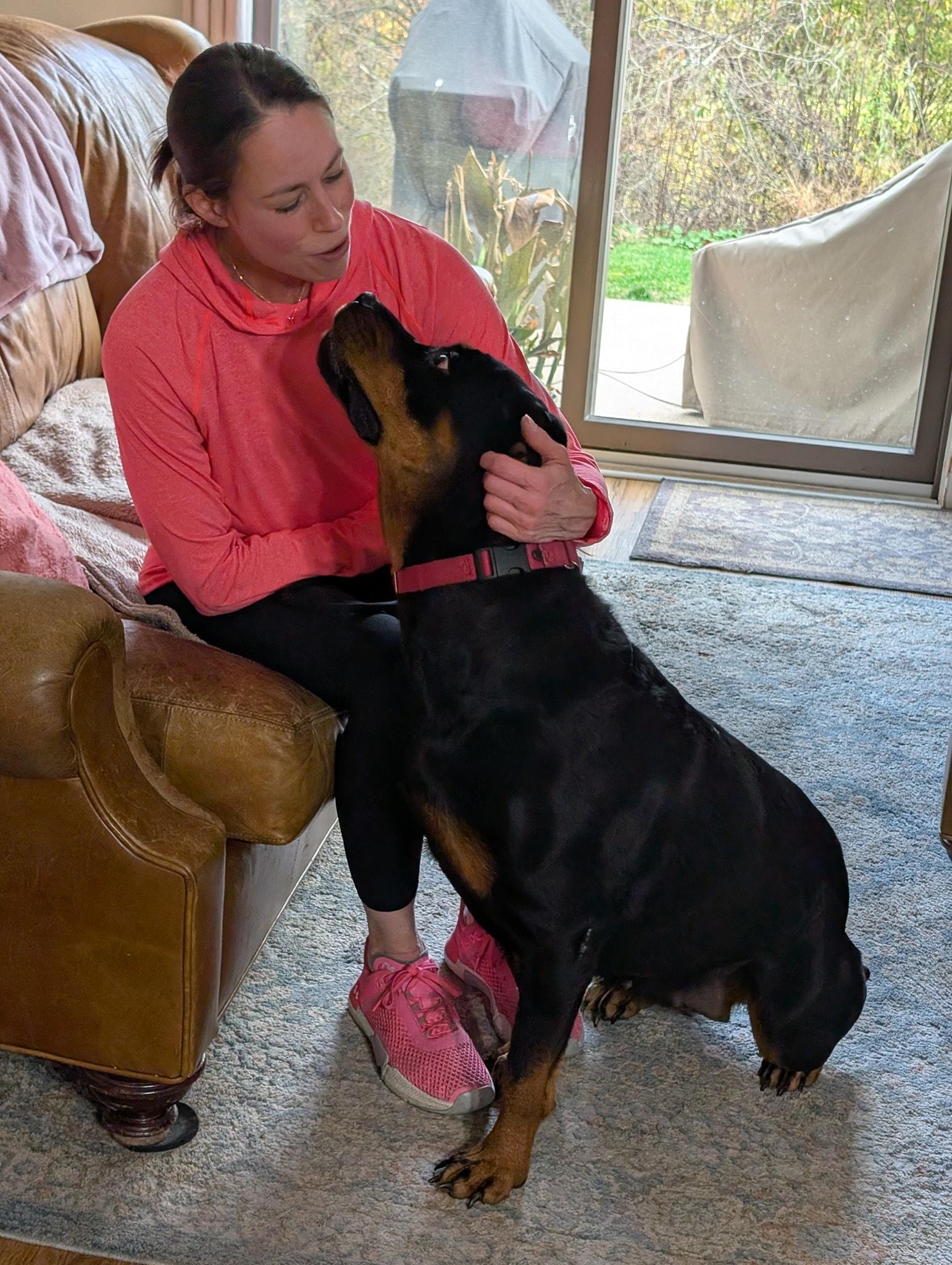 Roxie, a Adopted Rottweiler in Perkasie, PA image 6/6