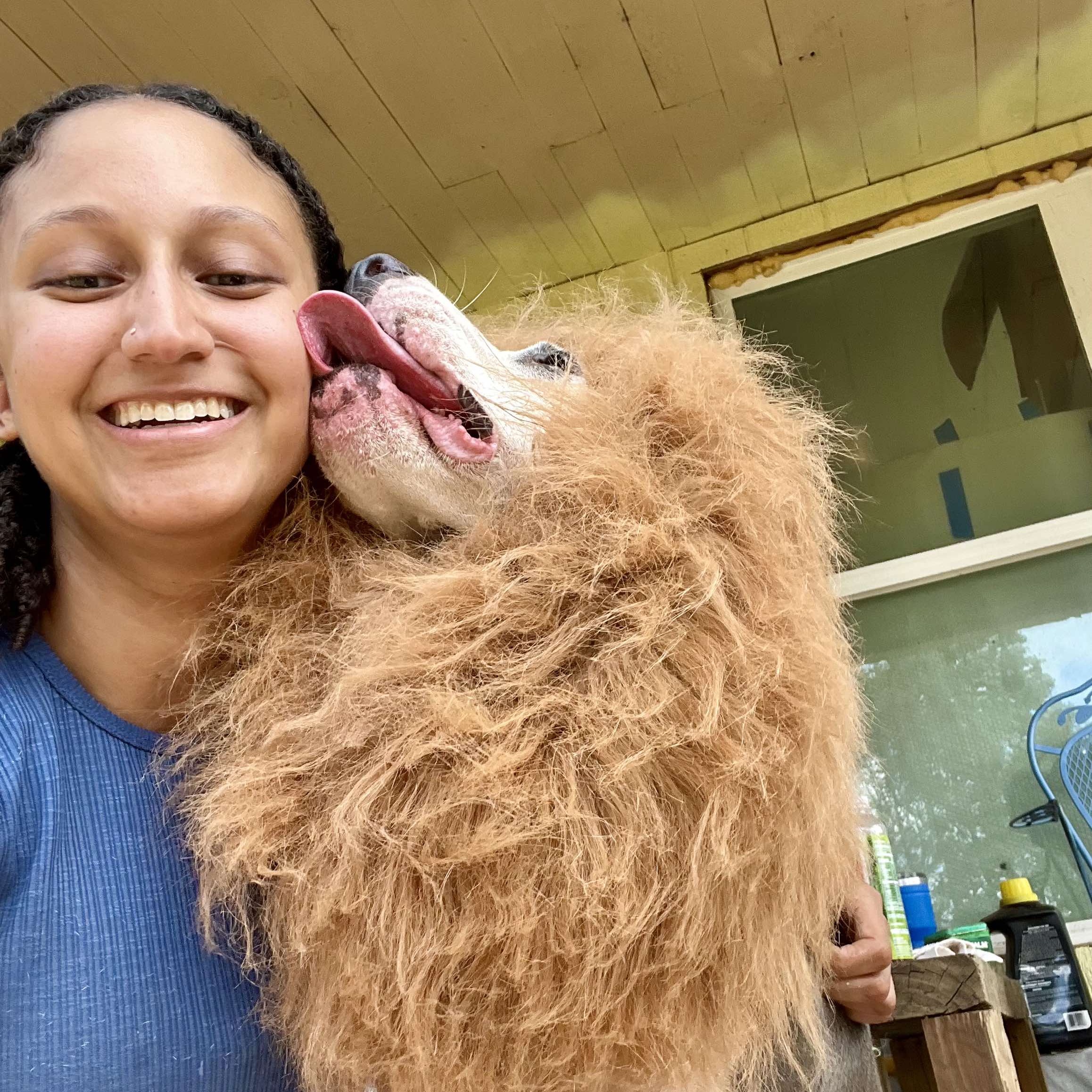 Enlarge Claire, a Adoptable mixed breed in Houston, TX image 6/6