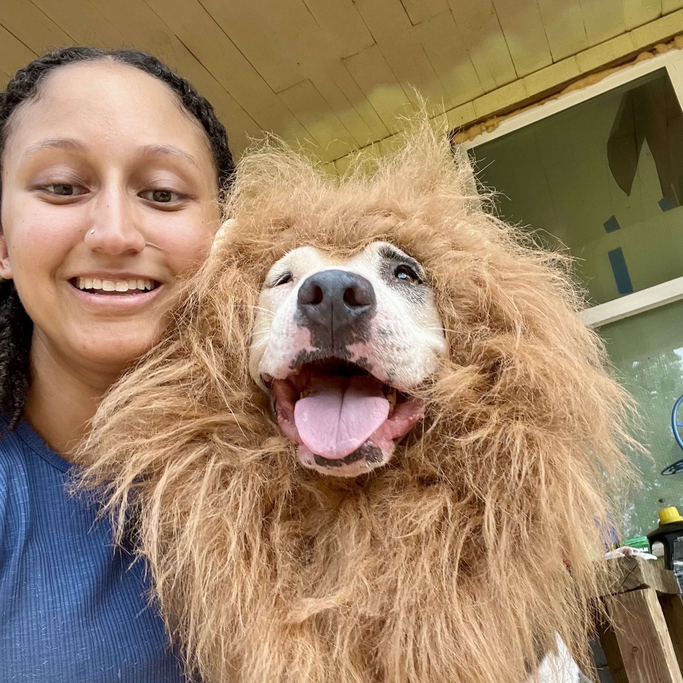 Enlarge Claire, a Adoptable mixed breed in Houston, TX image 2/6