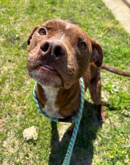 Rusty — thumbnail 2