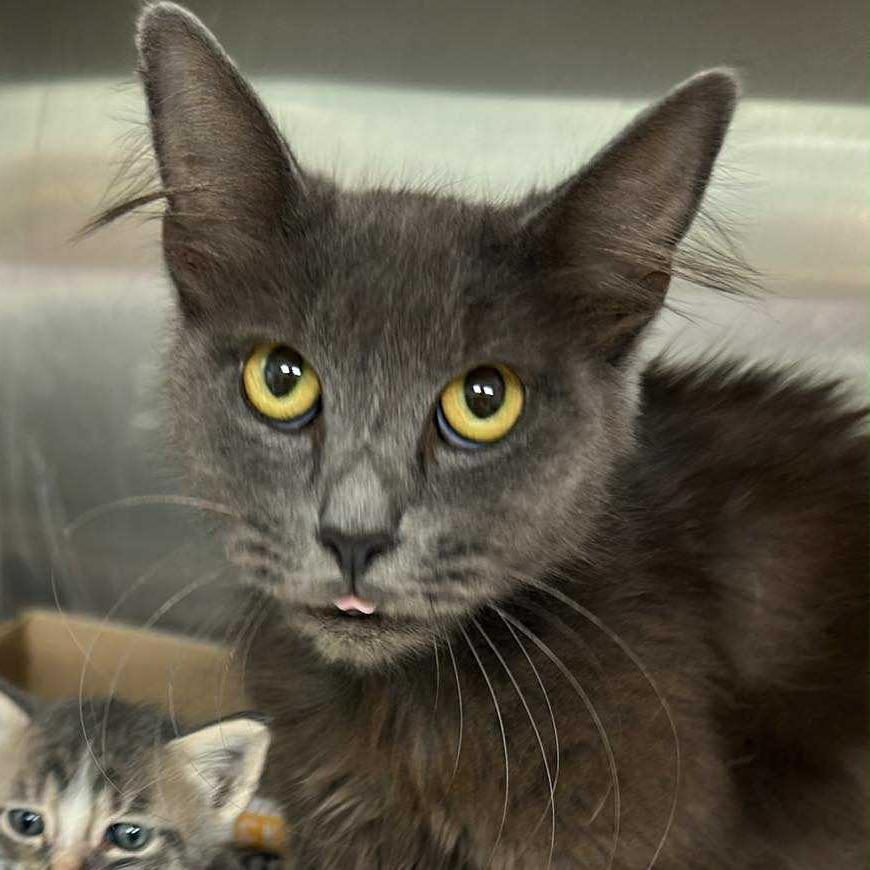 Natalia — thumbnail 2