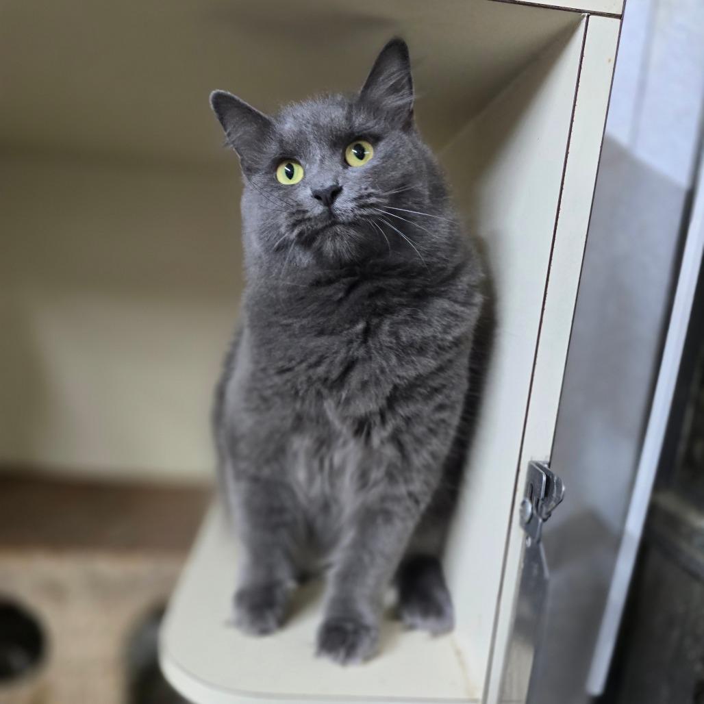 Natalia — thumbnail 3