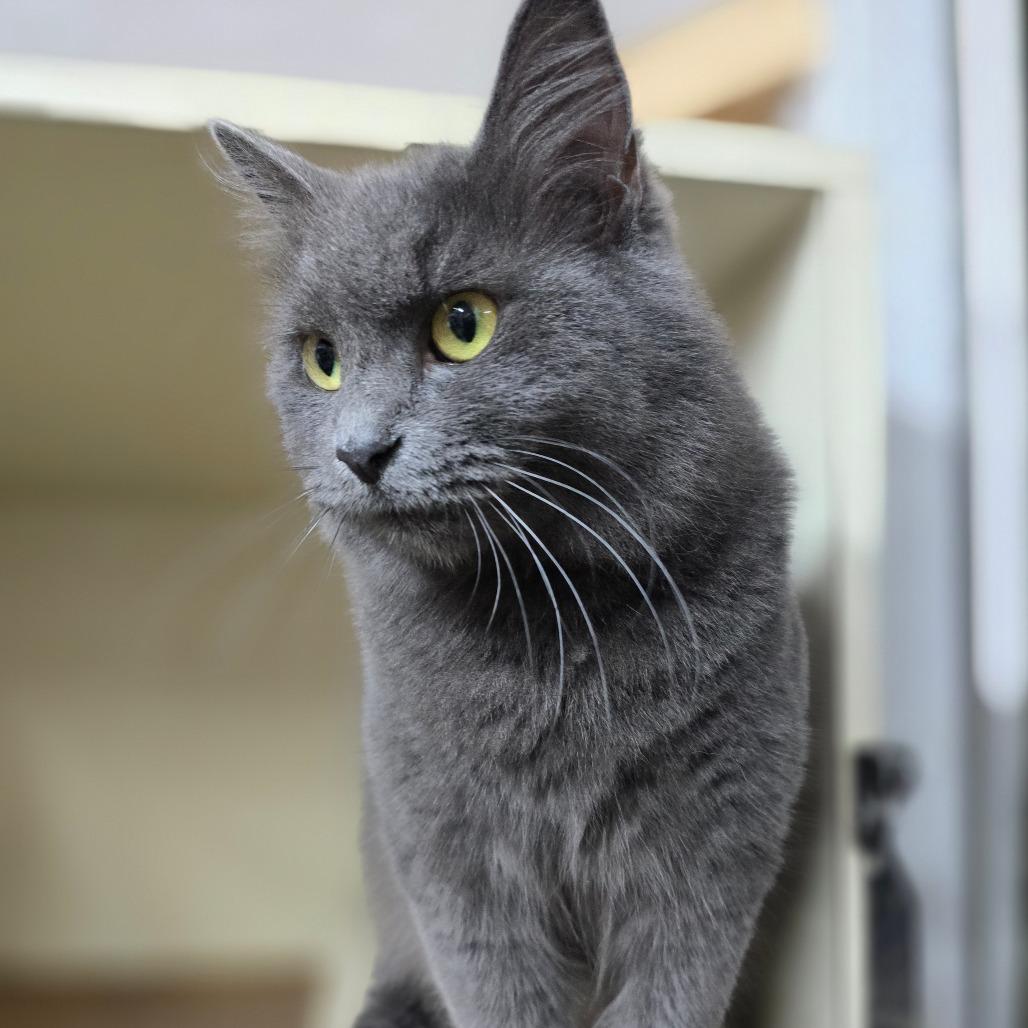 Natalia — thumbnail 4