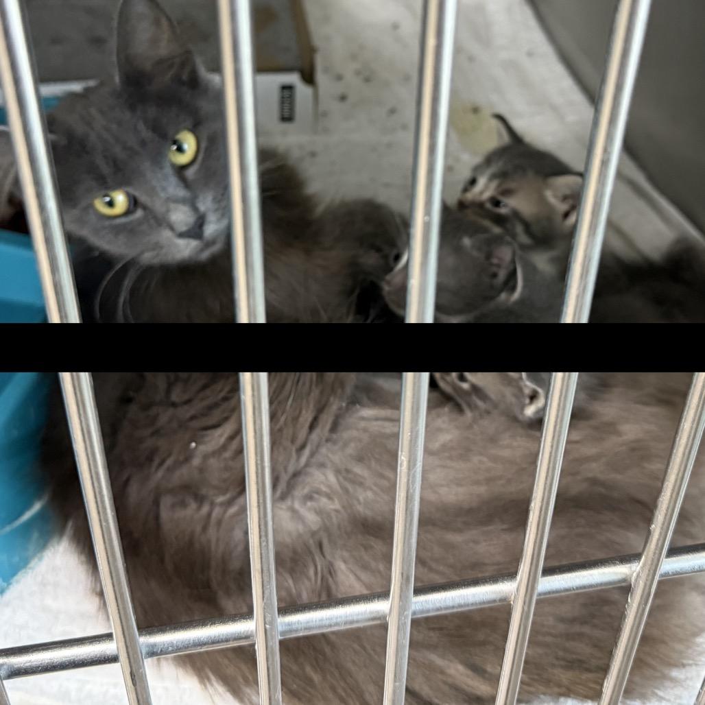 Natalia — thumbnail 5