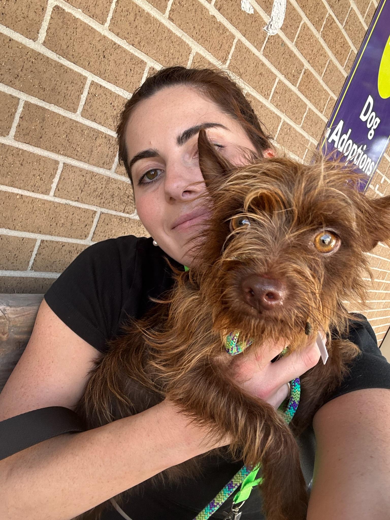 Enlarge Honey, a Adopted mixed breed in Houston, TX image 6/6