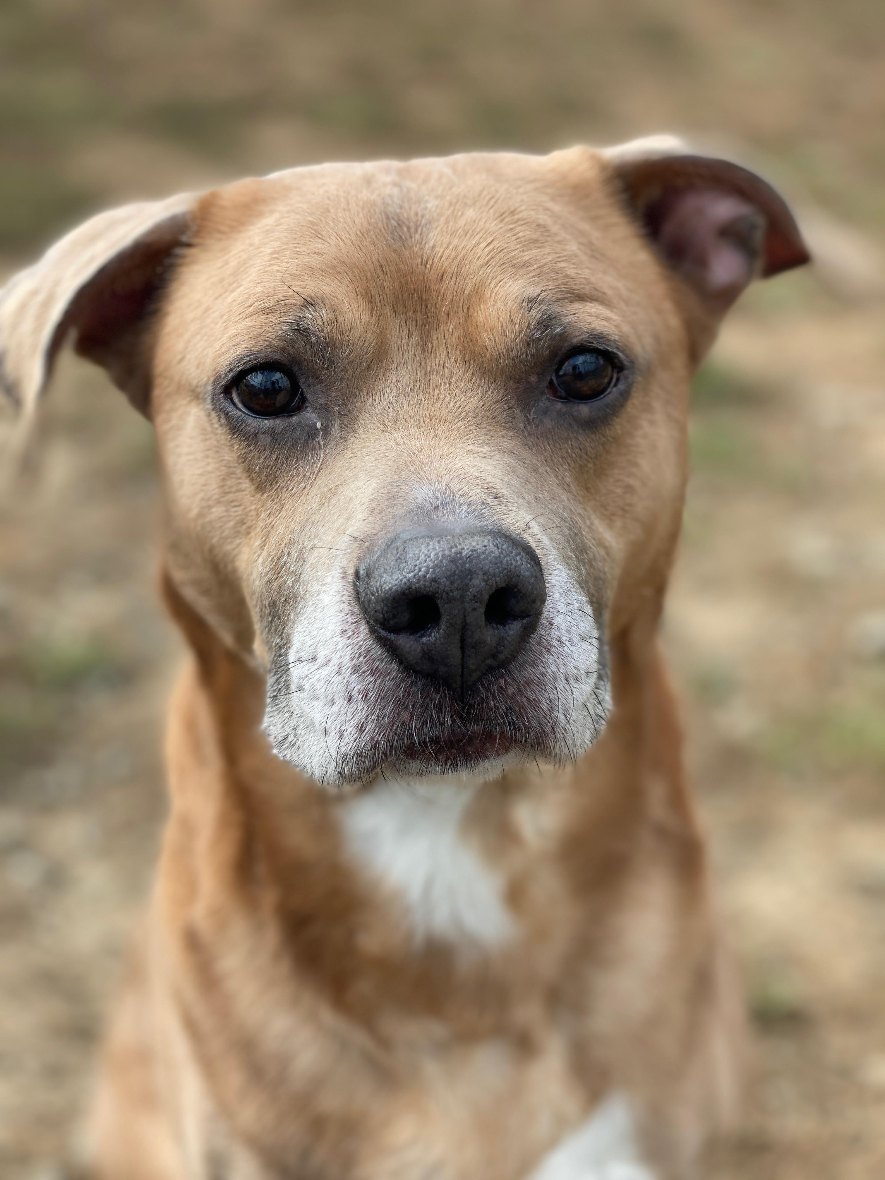 Zeke (ID 48650/3345)