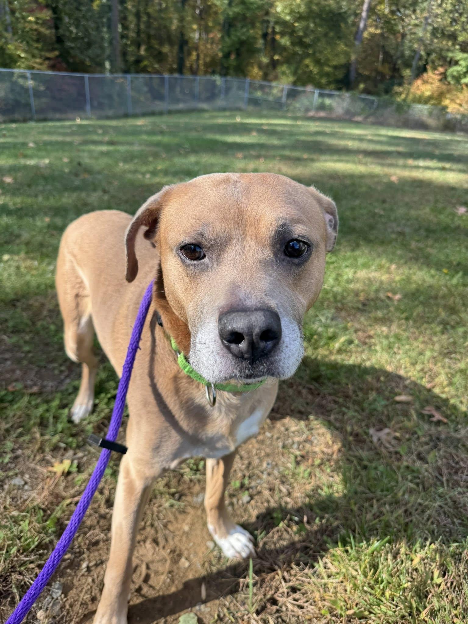 Zeke (ID 48650/3345)