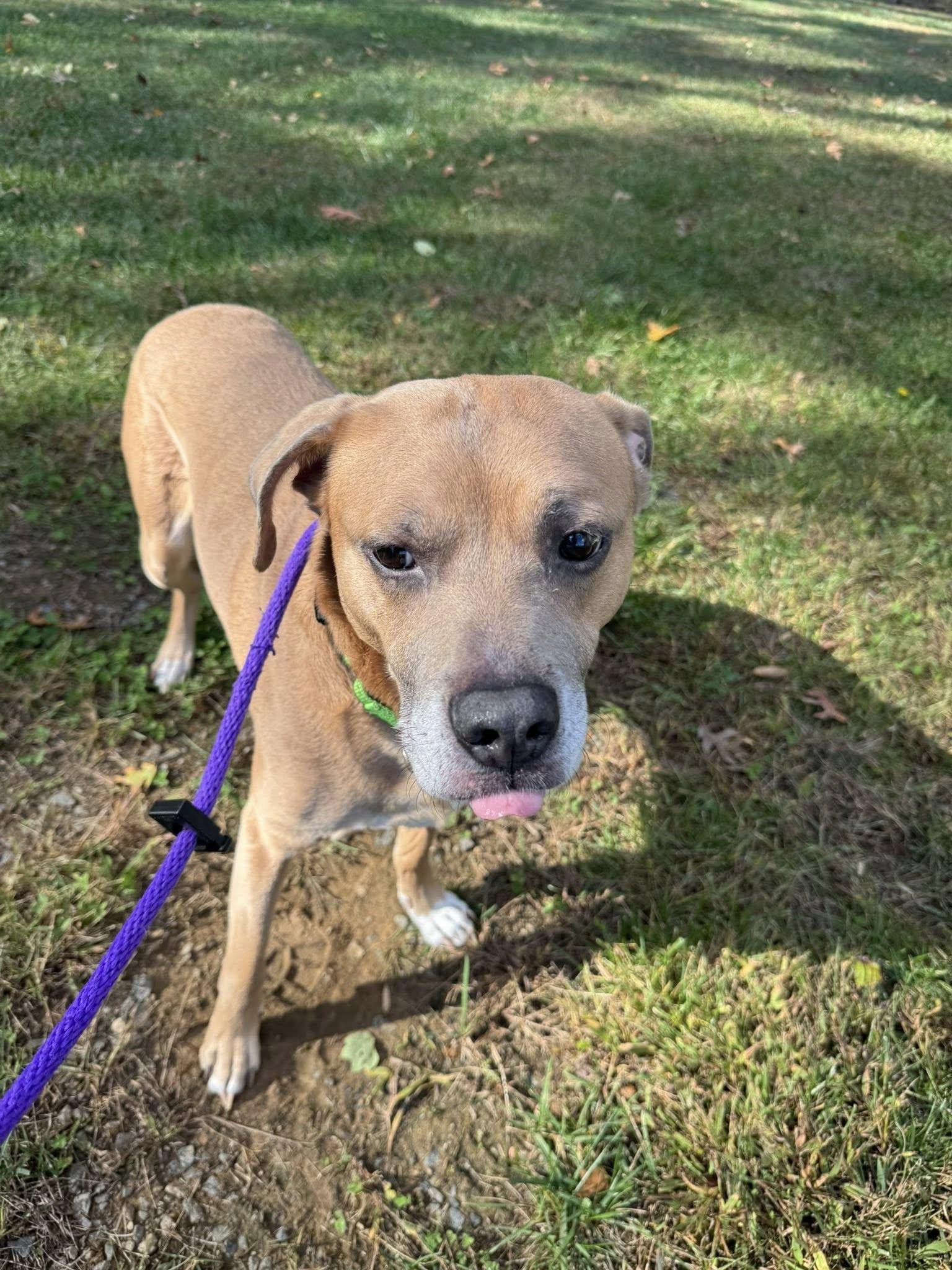 Zeke (ID 48650/3345)