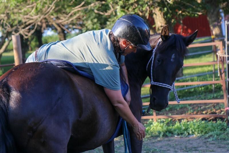 Enlarge Frannie, a Adoptable Mustang in Scotland, SD image 2/6
