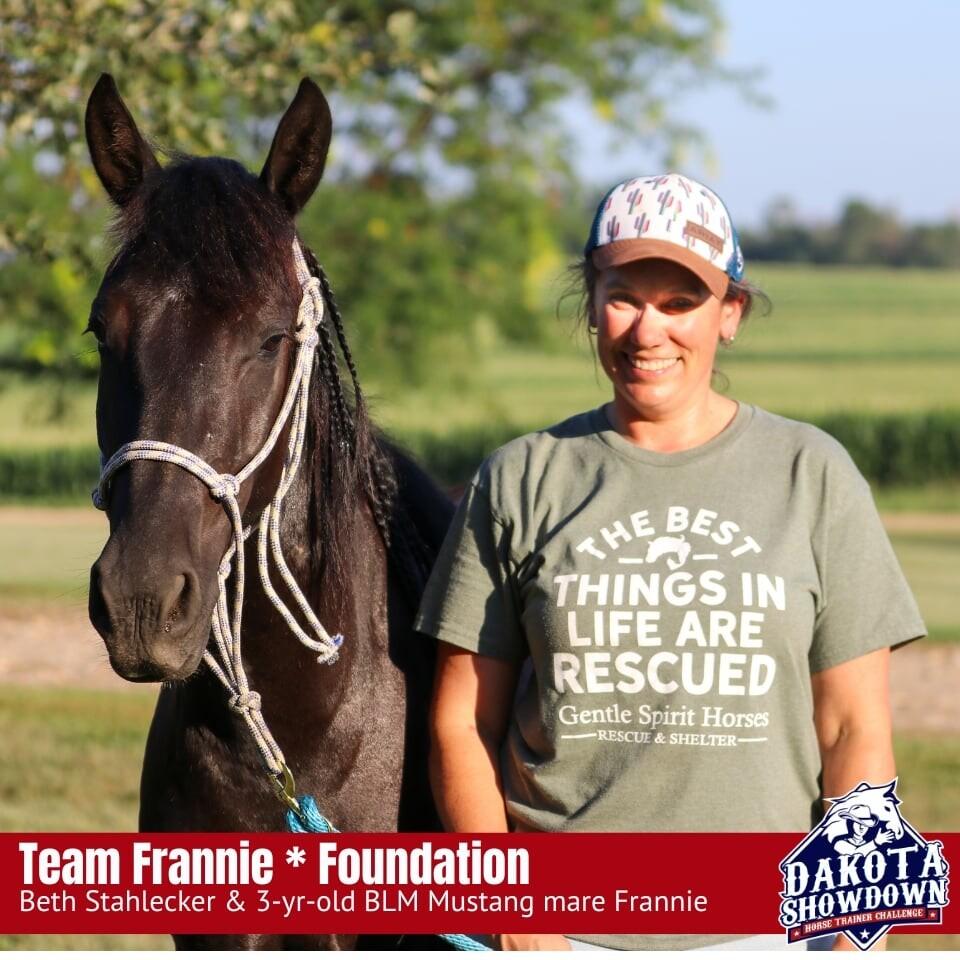 Enlarge Frannie, a Adoptable Mustang in Scotland, SD image 3/6