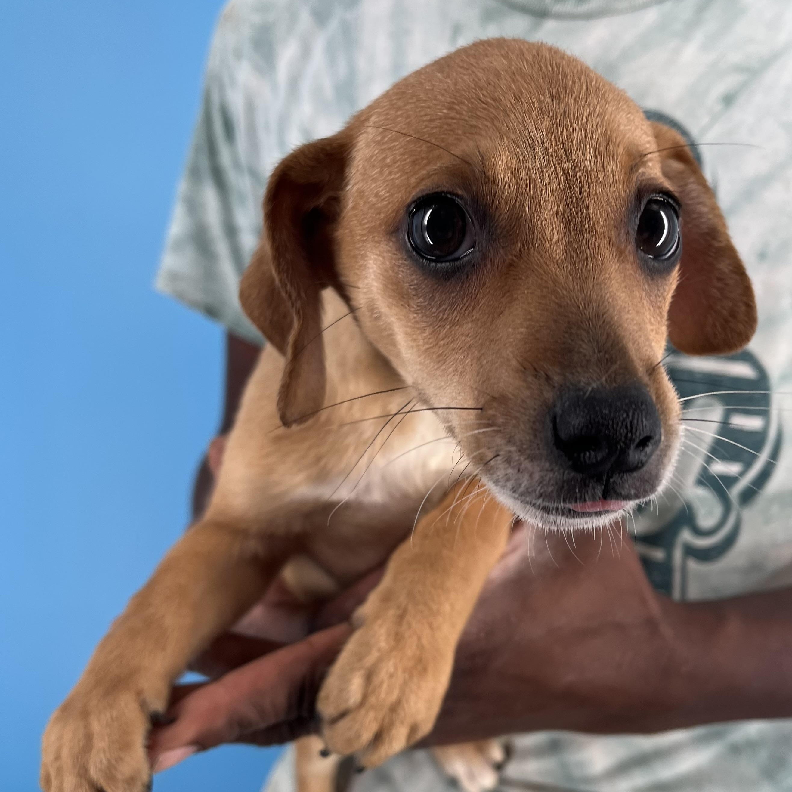 Ariel - Local Sept 26-28