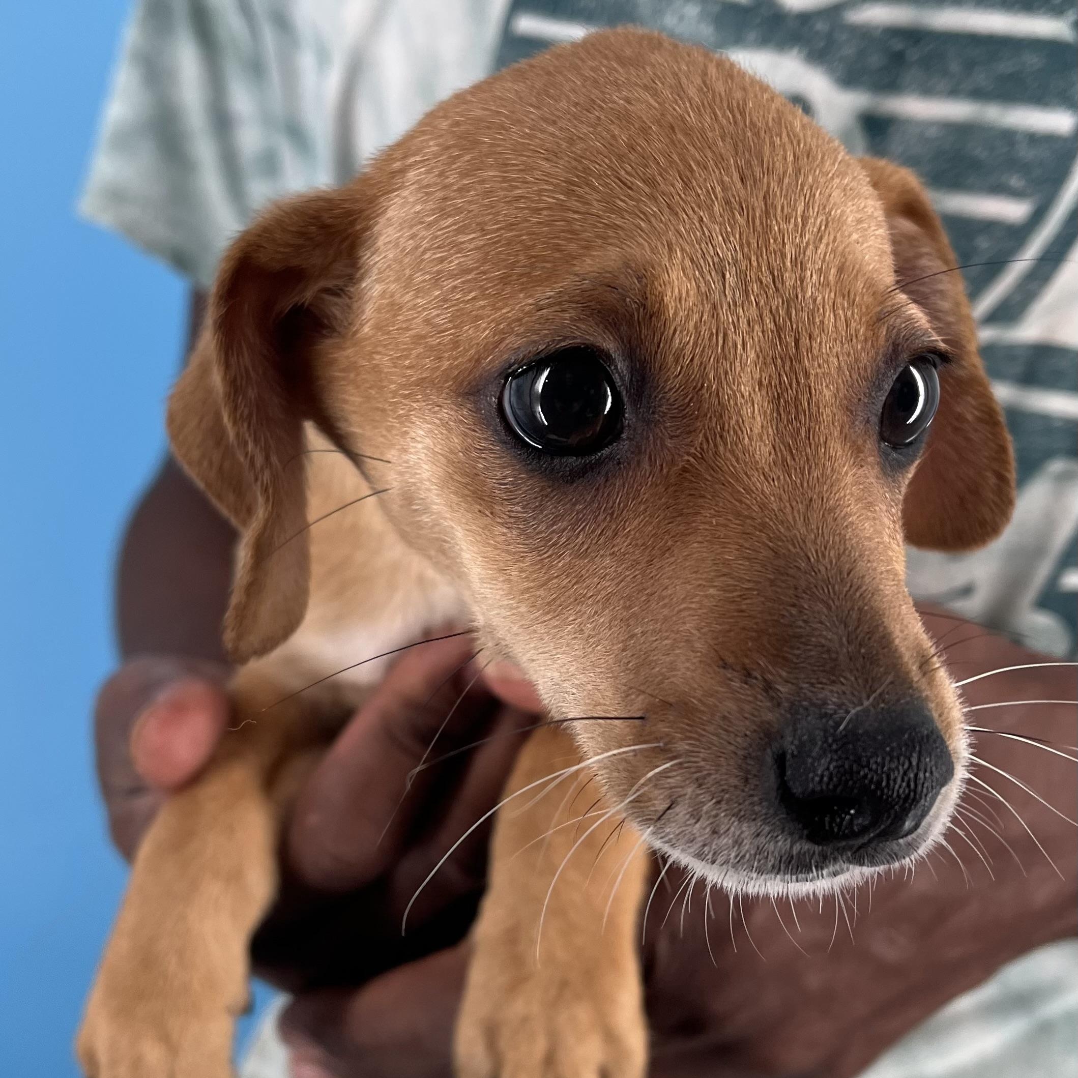 Ariel - Local Sept 26-28