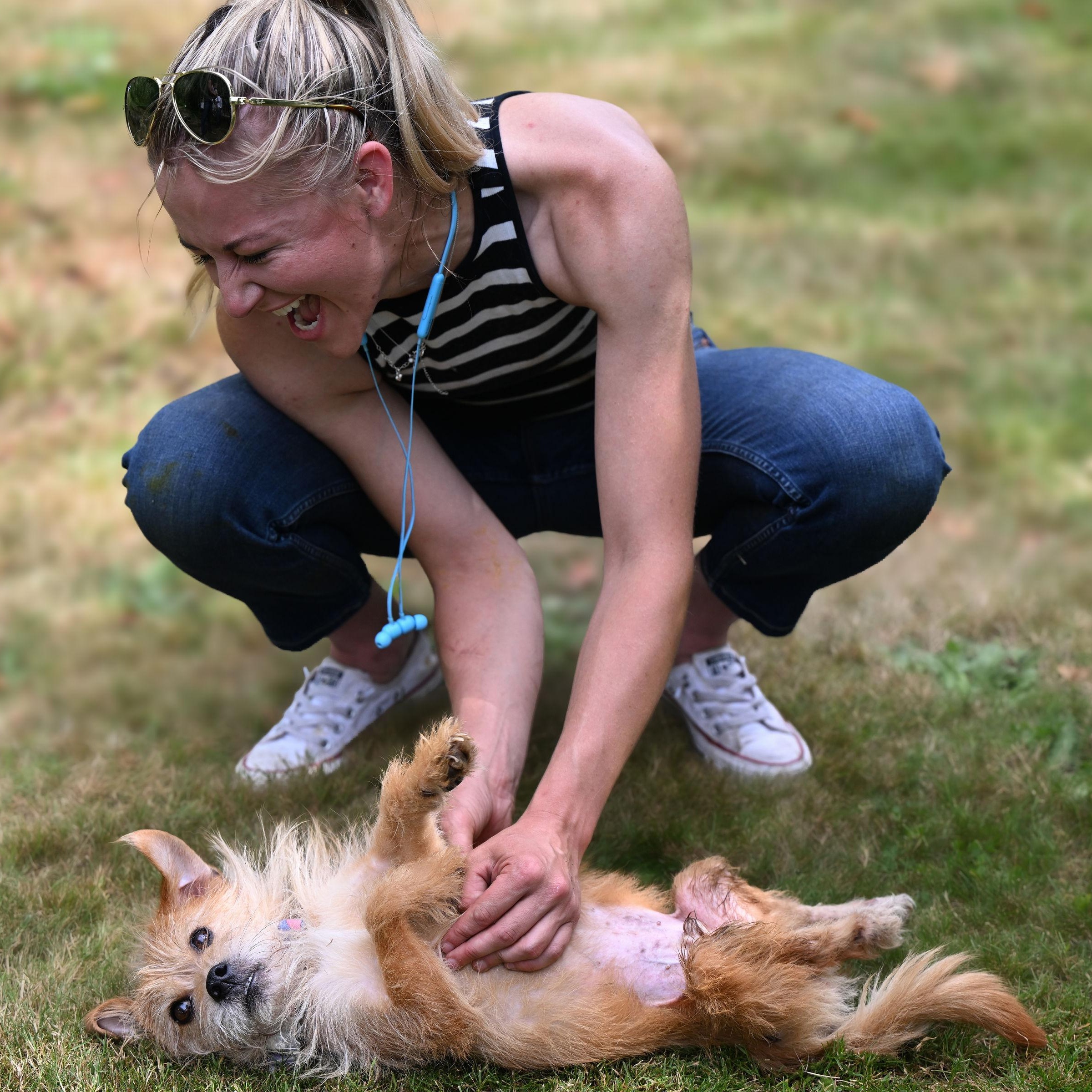 William, a Adoptable Terrier in Ferndale, WA image 6/6