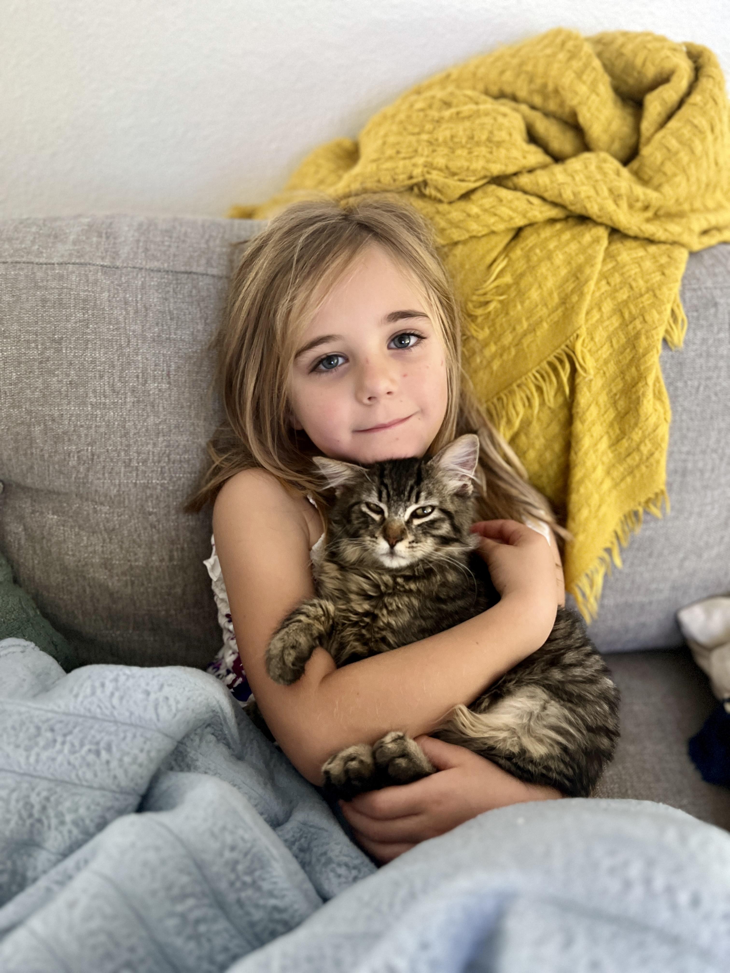 Help LA Fire Cats: Become a Foster Hero Today! [Read Bio] photo 2