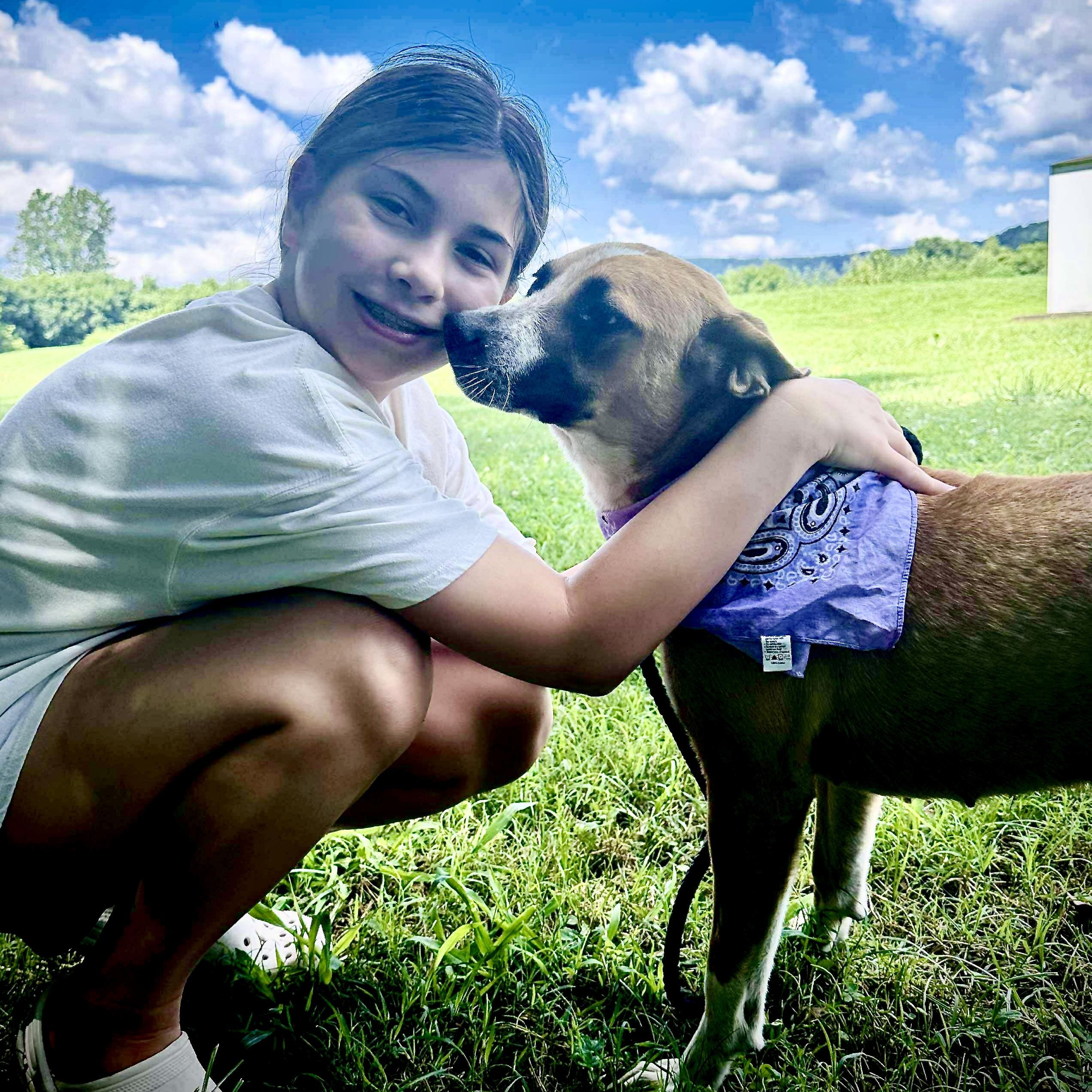 Allie - s, a Adoptable mixed breed in Sequatchie, TN image 2/6