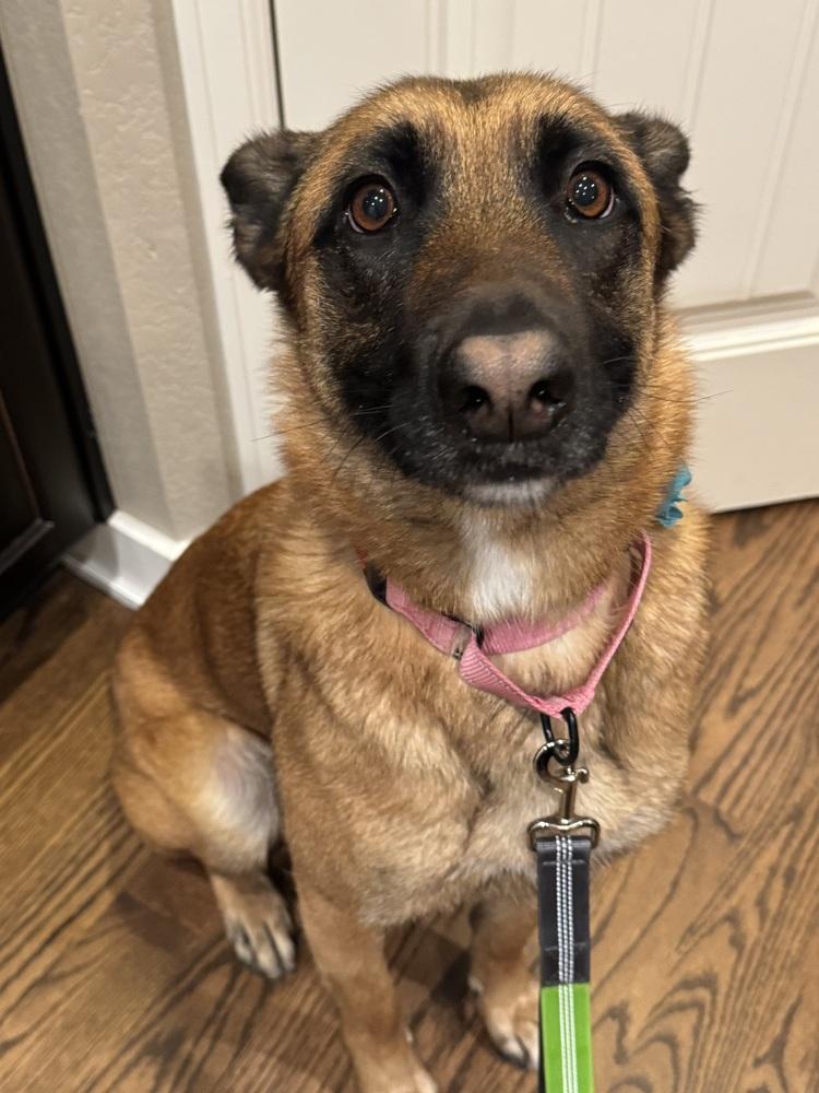 Bungee  Located In thumbnail 3