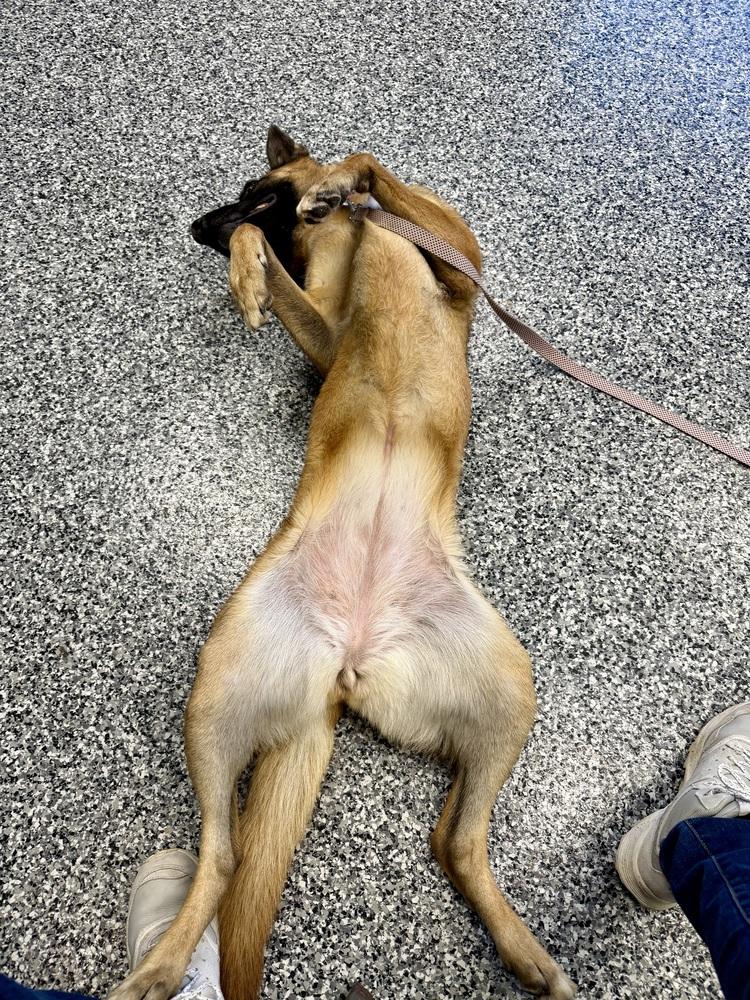 Bungee  Located In thumbnail 5