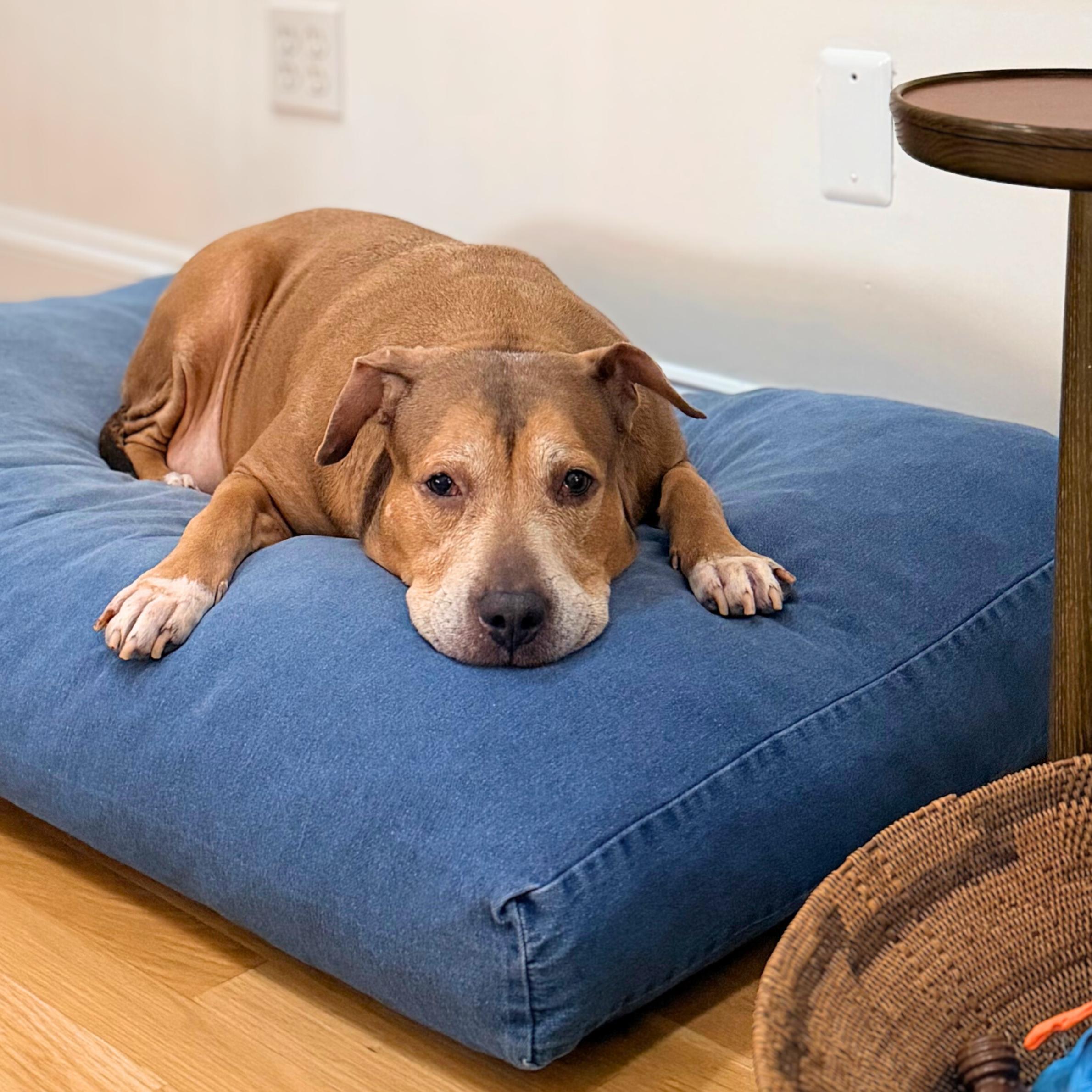 Golden Hour — thumbnail 4