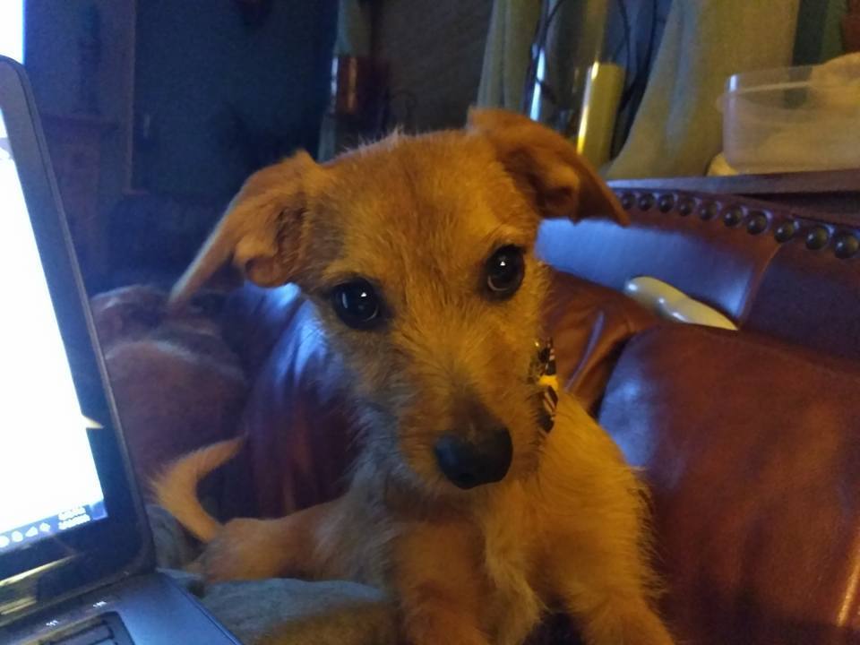 Huey
