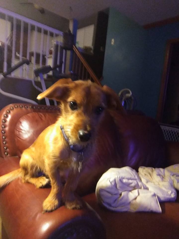 Huey photo 5