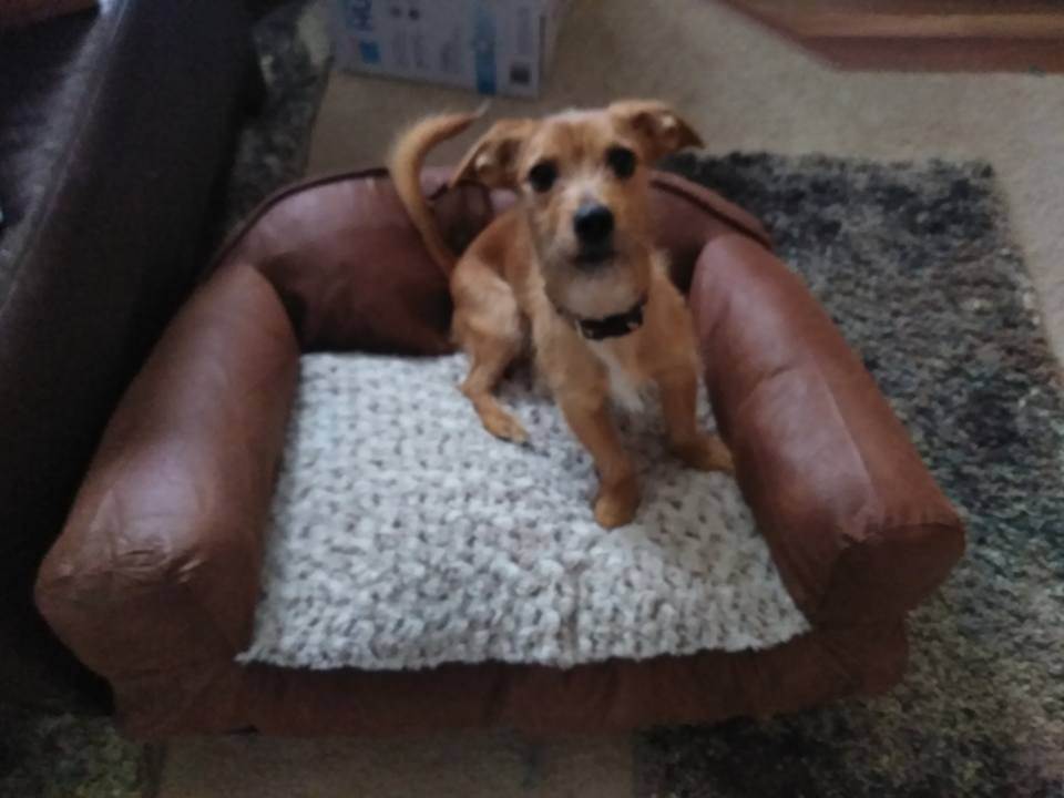 Huey photo 6
