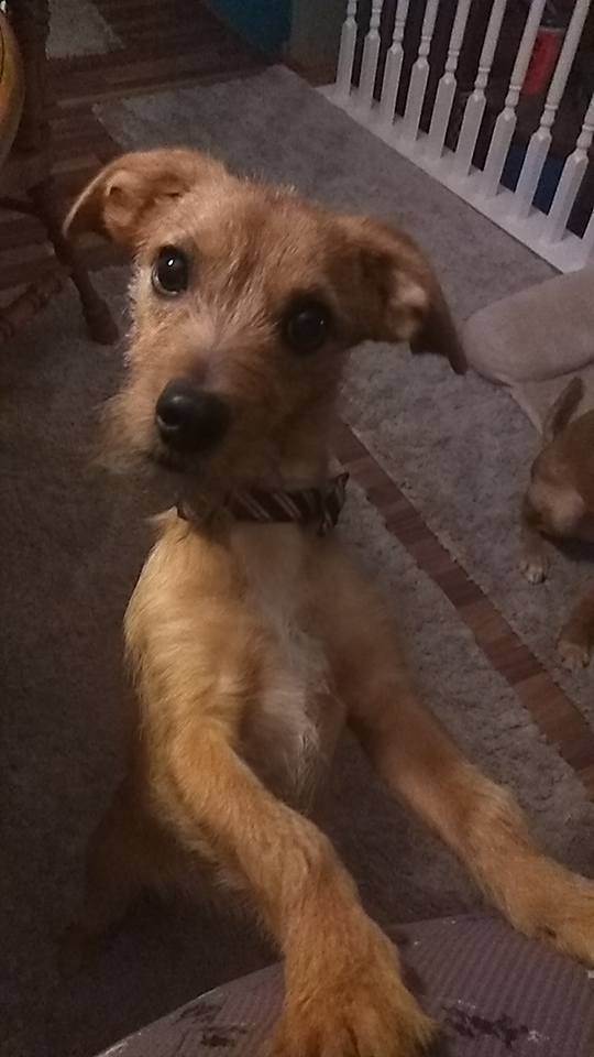 Huey photo 3